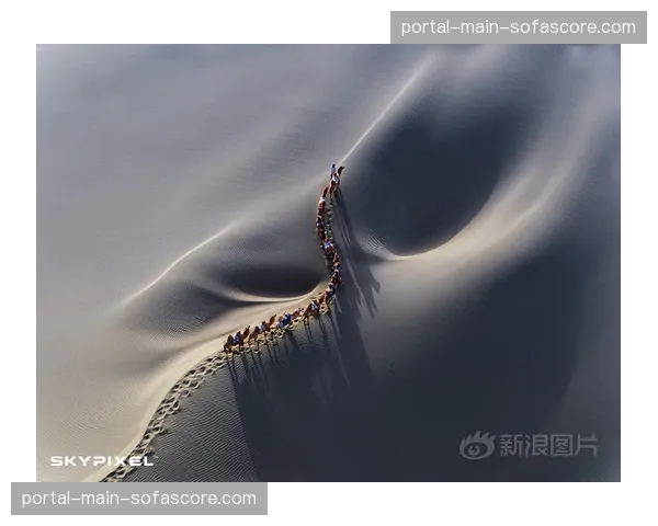 无人机集群航拍视角的自动化切换逻辑 呈现多角度赛场宏观动态视野 无人机集群航拍视角的自动化切换逻辑 呈现多角度赛场宏观动态视野